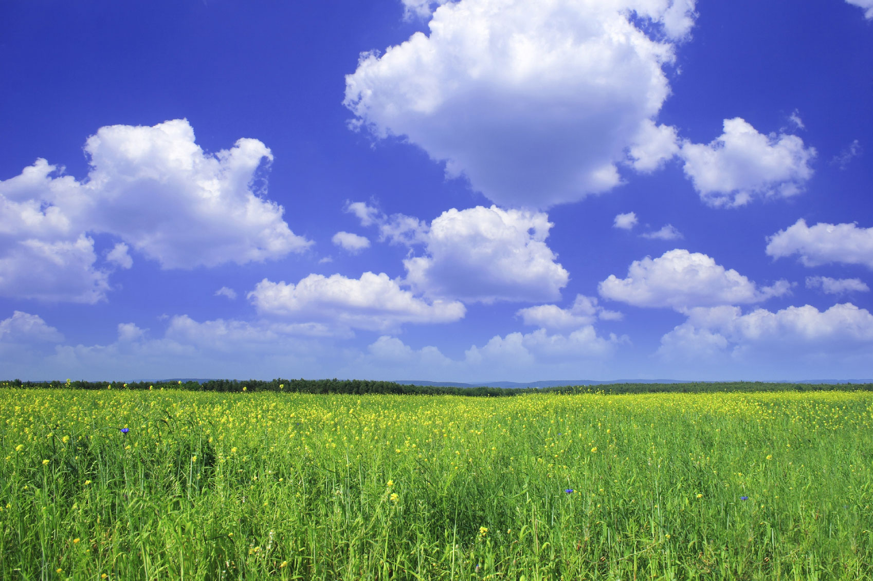 environmentw37jx2.jpg