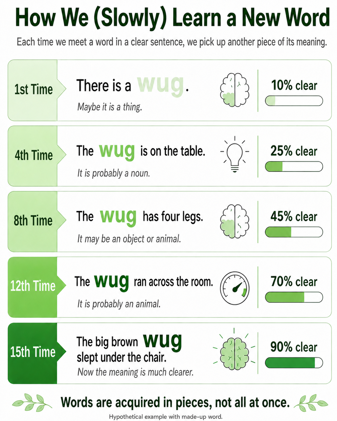 Across encounters with the made-up word 'wug,' the meaning becomes clearer in steps.