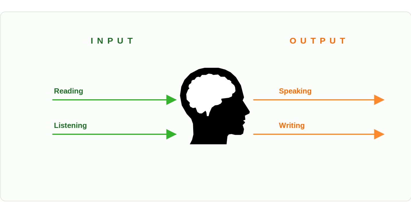 Language goes into the brain through reading and listening (input) and comes out of the brain through speaking and writing (output).