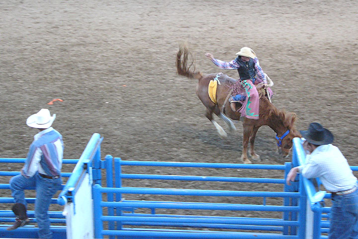 rodeo16.jpg