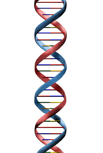 DNA