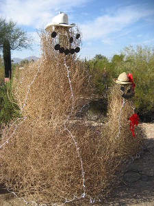 450px-Tumbleweed_snowmen