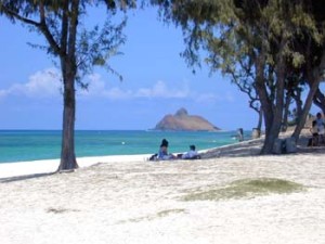 Paaka_kahakai_kailua